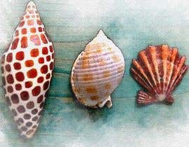#6 untuk Draw or Paint a Three Specific Sea Shells JUNONIA, SCOTCH BONNET and LION’S PAW oleh skay00