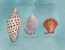 #46 для Draw or Paint a Three Specific Sea Shells JUNONIA, SCOTCH BONNET and LION’S PAW от rebeccacolling