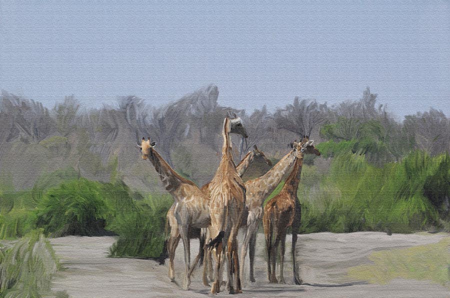 Kandidatura #79për                                                 Create an impressionist painting of wildlife photo
                                            