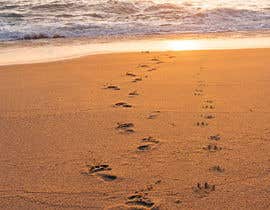 #113 for image of beach at sunset with footprints next to pawprints in sand by mamunmithu167