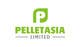 Konkurrenceindlæg #291 billede for                                                     Design a Logo for Pelletasia
                                                