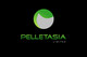 Ảnh thumbnail bài tham dự cuộc thi #660 cho                                                     Design a Logo for Pelletasia
                                                