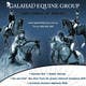 
                                                                                                                                    Contest Entry #                                                24
                                             thumbnail for                                                 Graphic Design for Galahad Equine Group Pty Ltd
                                            