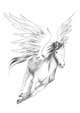 Kilpailutyön #17 pienoiskuva kilpailussa                                                     Draw a Pegasus
                                                