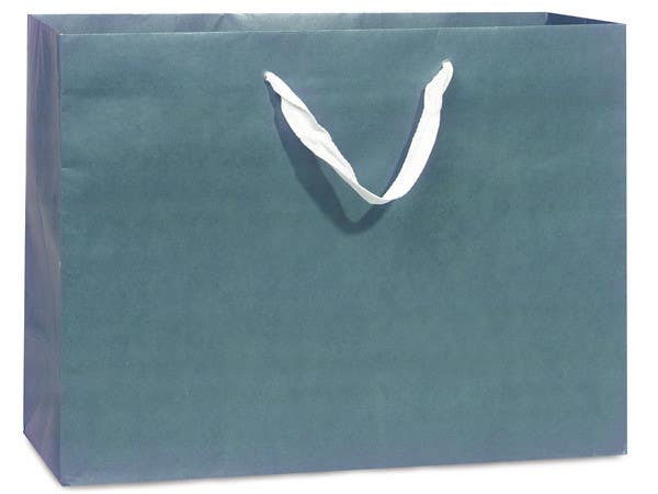 Penyertaan Peraduan #8 untuk                                                 Manufacture a Product for me for Customised Carry bags
                                            