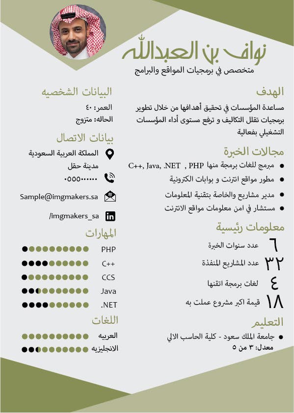 i need to buy 10 infographic cv template  6 in arabic languages  4 in english