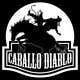Мініатюра конкурсної заявки №15 для                                                     Design a Logo for Caballo Diablos
                                                
