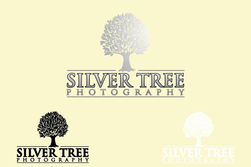 Kilpailutyö #56 kilpailussa                                                 Design A Logo for New Photographer - Silver Tree Photography
                                            