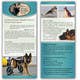 Contest Entry #10 thumbnail for                                                     Design a Brochure for Southeast German Shepherd Rescue's Phoenix Dog Program
                                                