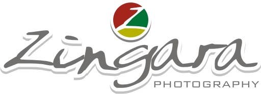 Participación en el concurso Nro.199 para                                                 Logo Design for ZINGARA
                                            
