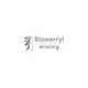 Kilpailutyön #547 pienoiskuva kilpailussa                                                     Logo Design for Blowerryl Mining Inc -Mining ,Trading / Import Export(IronOre,NickelOre,Coal)
                                                