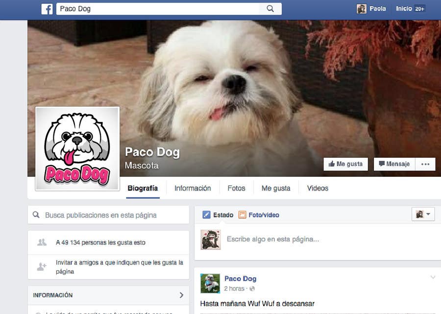 #26. pályamű a(z)                                                  Design a Logo for Paco Dog, Crea un logo para Paco Dog
                                             versenyre