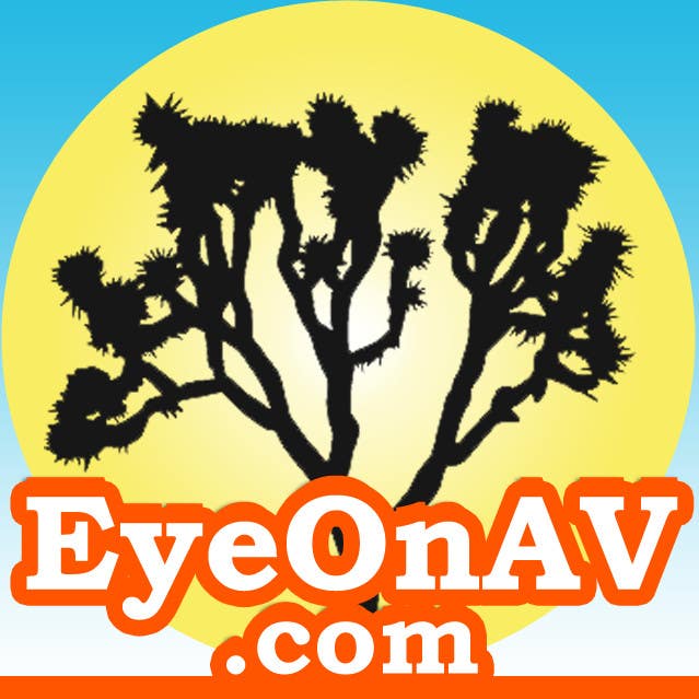 Contest Entry #23 for                                                 EyeOnAV.com
                                            
