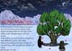 Miniatura da Inscrição nº 5 do Concurso para                                                     Colour and background for The Bewitching Yew
                                                