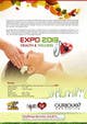 Graphic Design des proposition du concours n°8 pour I need a flyer designed for a health and wellness expo