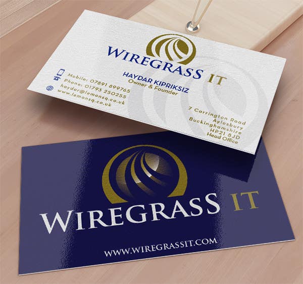 Bài tham dự cuộc thi #77 cho                                                 Design a Logo for Wiregrass IT
                                            