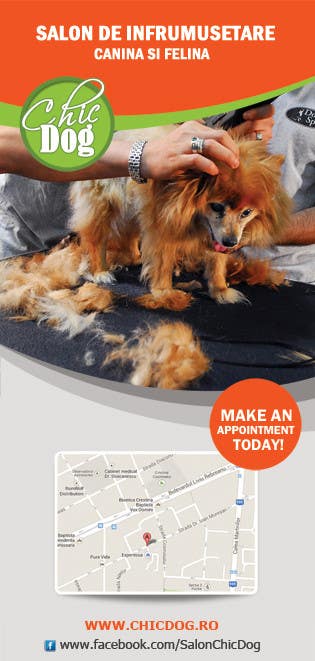 Kilpailutyö #18 kilpailussa                                                 Pet Grooming Salon New Flyer Design
                                            
