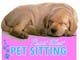 
                                                                                                                                    Miniatura da Inscrição nº                                                 620
                                             do Concurso para                                                 Logo Design for Point West Pet Sitting
                                            