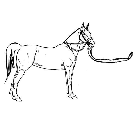 Participación en el concurso Nro.12 para                                                 Hand-drawn sketch of horse in AI format
                                            