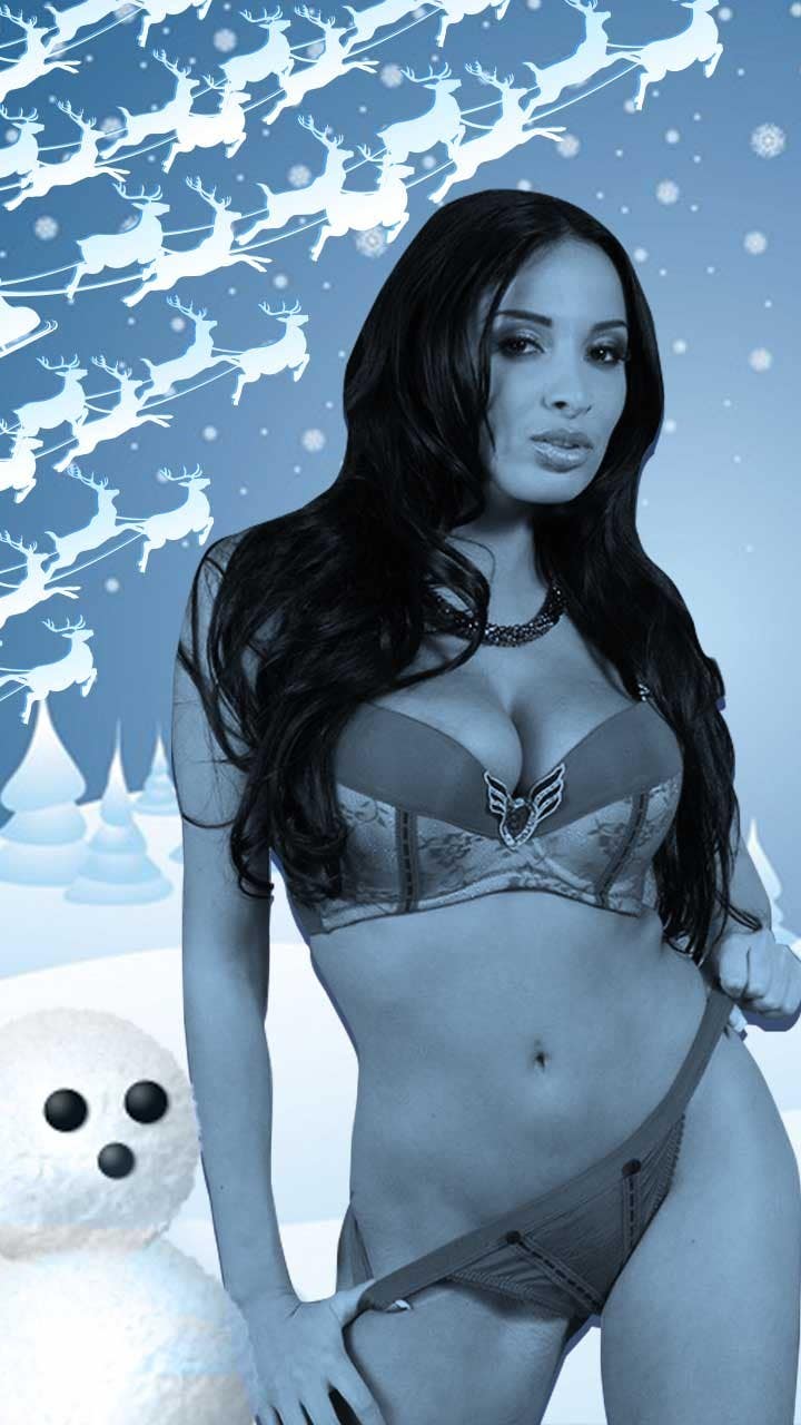 Proposition n°26 du concours                                                 Android Christmas Naughty  Background
                                            