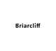 Icône de la proposition n°88 du concours                                                     Design a Logo for Briarcliff Group
                                                