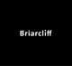 Icône de la proposition n°88 du concours                                                     Design a Logo for Briarcliff Group
                                                