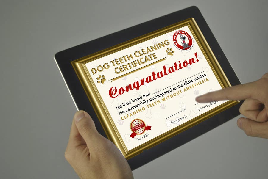 Proposition n°68 du concours                                                 Design A Dog Teeth Cleaning Certificate
                                            