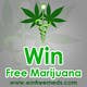 Konkurrenceindlæg #3 billede for                                                     Design a Banner for Medical Marijuana website
                                                
