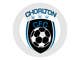Konkurrenceindlæg #37 billede for                                                     Design Logo for an amateur football team (soccer)
                                                