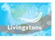 Miniatura da Inscrição nº 28 do Concurso para                                                     Design a Banner for Livingstone
                                                