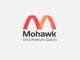 Ảnh thumbnail bài tham dự cuộc thi #26 cho                                                     Design Logo for Mohawk Flyers website
                                                