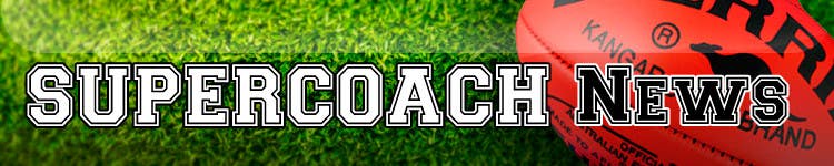 Contest Entry #7 for                                                 Design a Banner for Australian Football Supercoach News
                                            