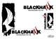 Imej kecil Penyertaan Peraduan #167 untuk                                                     Logo Design for Blackhawk International Pty Ltd
                                                