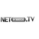 Pictograma corespunzătoare intrării #71 pentru concursul „                                                    Logo Design for NetWatch.TV
                                                ”