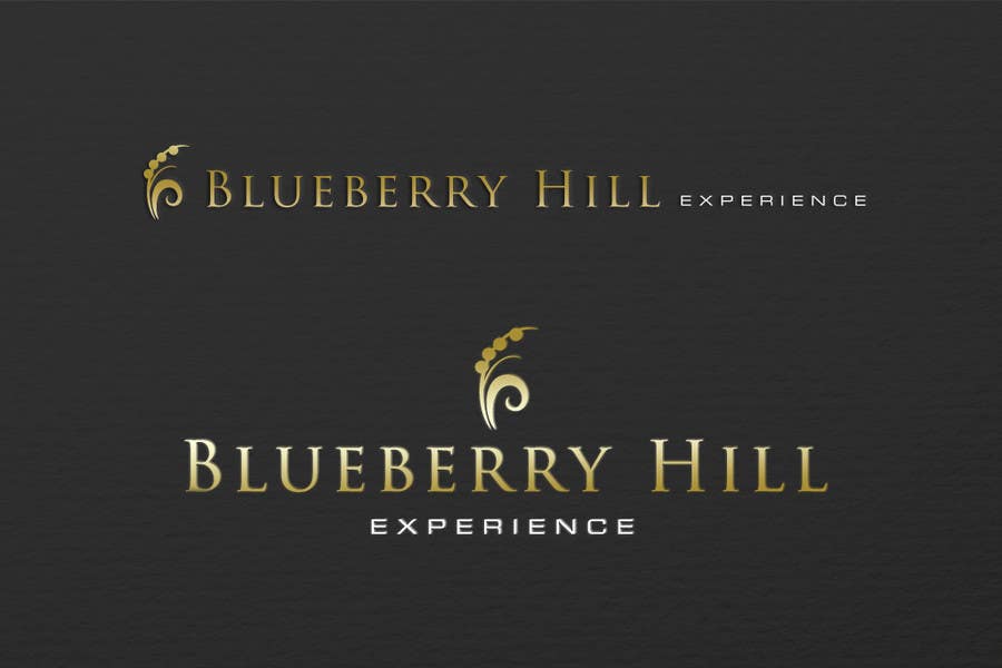 Kilpailutyö #167 kilpailussa                                                 Logo Design for Blueberry Hill Experience
                                            