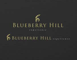 Nro 168 kilpailuun Logo Design for Blueberry Hill Experience käyttäjältä prosediva