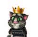 Ảnh thumbnail bài tham dự cuộc thi #1 cho                                                     make and put crown on cat's head.
                                                