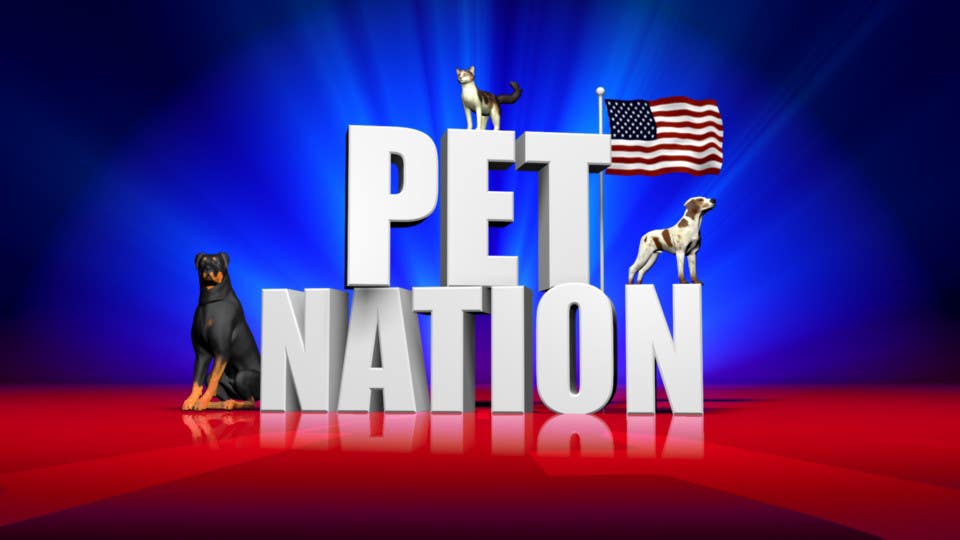 Penyertaan Peraduan #6 untuk                                                 Create an Animation for PET NATION
                                            