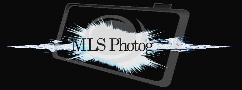 
                                                                                                                        Inscrição nº                                             7
                                         do Concurso para                                             Design a Logo for MLS Photog
                                        