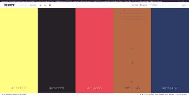 A screenshot of a colour palette from coolors.co