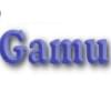 gamuorgのプロフィール写真