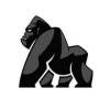 GorillaaCo adlı kullanıcının Profil Resmi