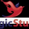  Profilbild von magicstudio11