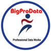 bigprodata's Profile Picture