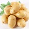 PotatoMini