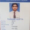 tushar7009's Profile Picture
