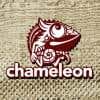 chameleon007的简历照片