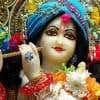 kumarvipin274's Profile Picture
