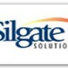 silgate's Profile Picture