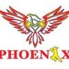 Foto de perfil de phoenxinfotech02